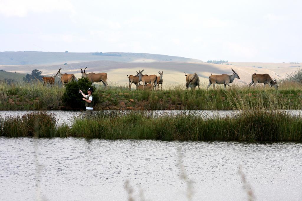 Elandskloof Trout Farm Pensionat Dullstroom Exteriör bild
